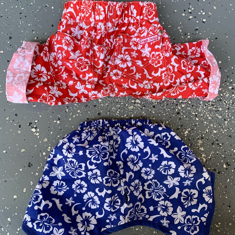 Shorts for Dogs